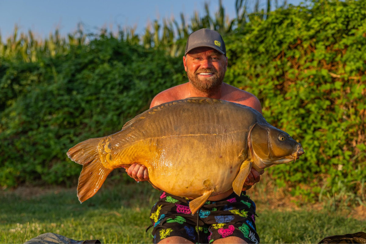 Karp o wadze 25 kg z Parco Del Brenta we Włoszech