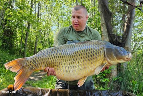 24,60 - Damian Kozierski