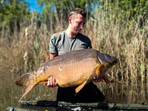 Karp 29,20 - Mikołaj Hofmański